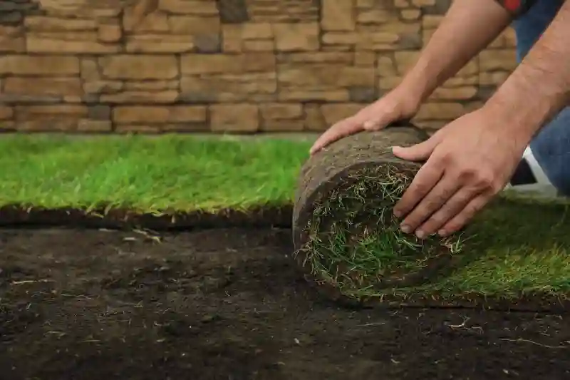 How long after installing sod can you walk on it in San Marcos, CA 