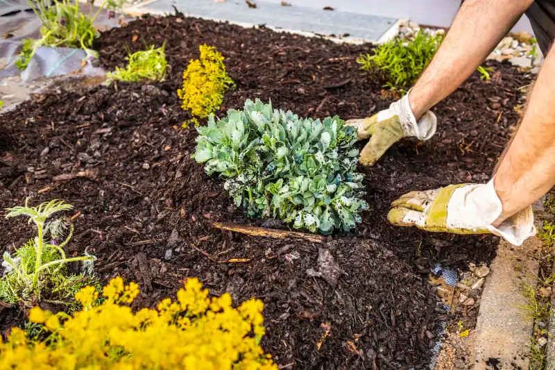 How long does mulch last in San Marcos, CA 