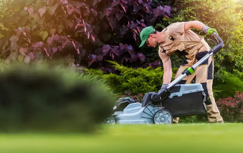 How to mow a lawn in San Marcos, CA 