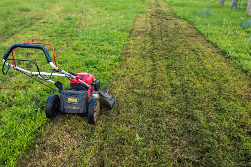 How to mow a lawn in San Marcos, CA 