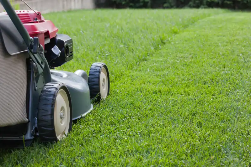 Professional Lawn Mowing Services in San Marcos, CA 