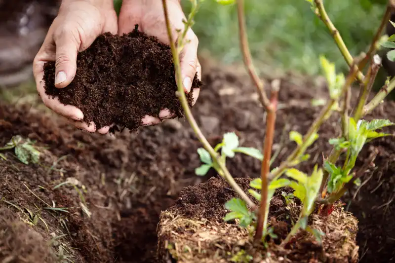 Professional Mulching Service in San Marcos, CA 