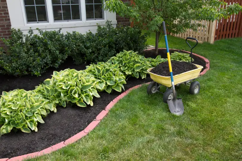 Outstanding Mulching Service in San Marcos, CA 