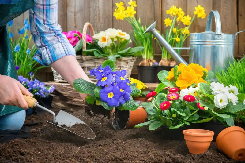 Reliable Mulching Service in San Marcos, CA 