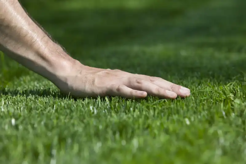 Professional Sod Installation Service in San Marcos, CA 