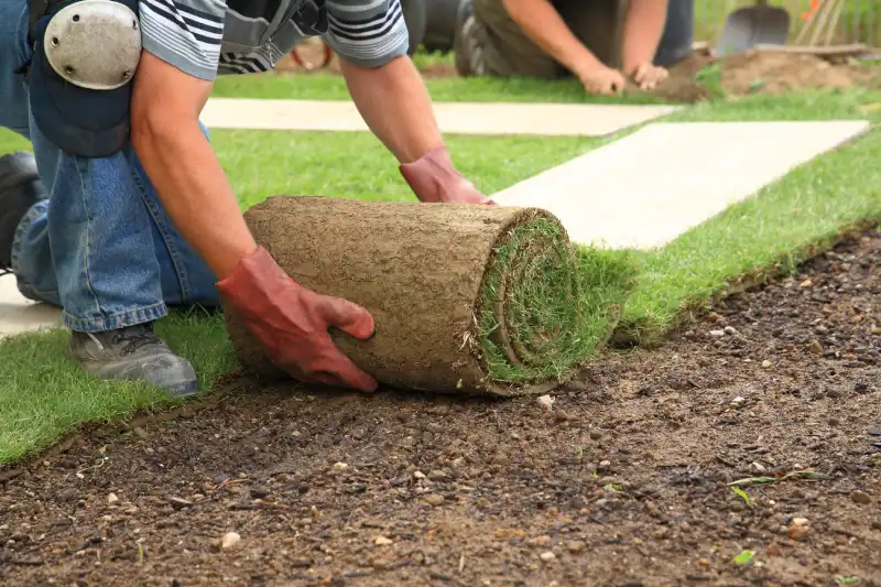 Reliable Sod Installation Service in San Marcos, CA 