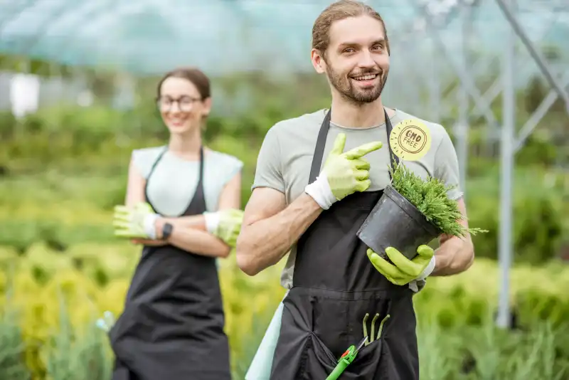 When is the best time to fertilize your lawn in San Marcos, CA 