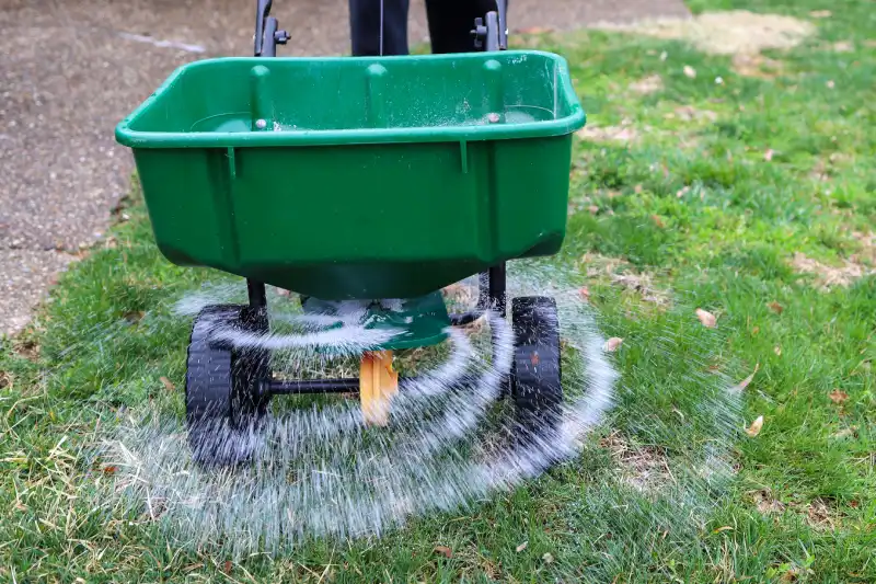 When is the best time to fertilize your lawn in San Marcos, CA 