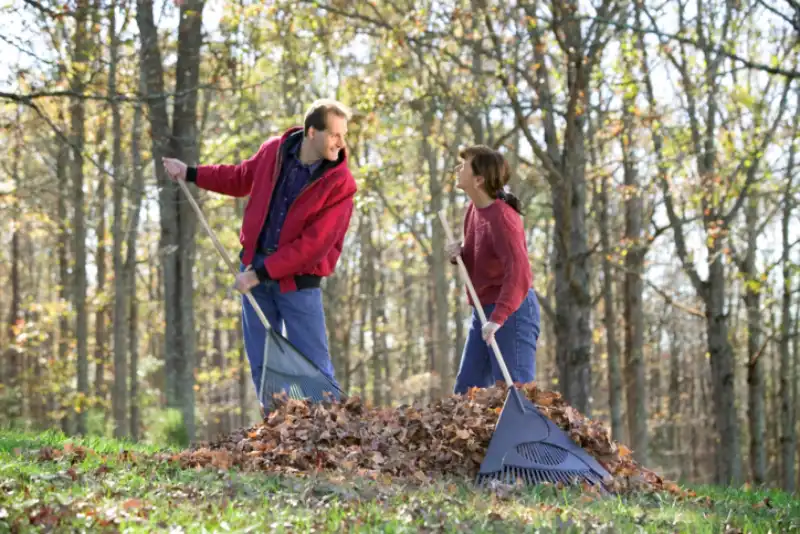 Professional Yard cleanup Service in San Marcos, CA 